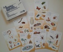 Zoology Charts-Invertebrates 3-D Ages:9+ Gr:4+