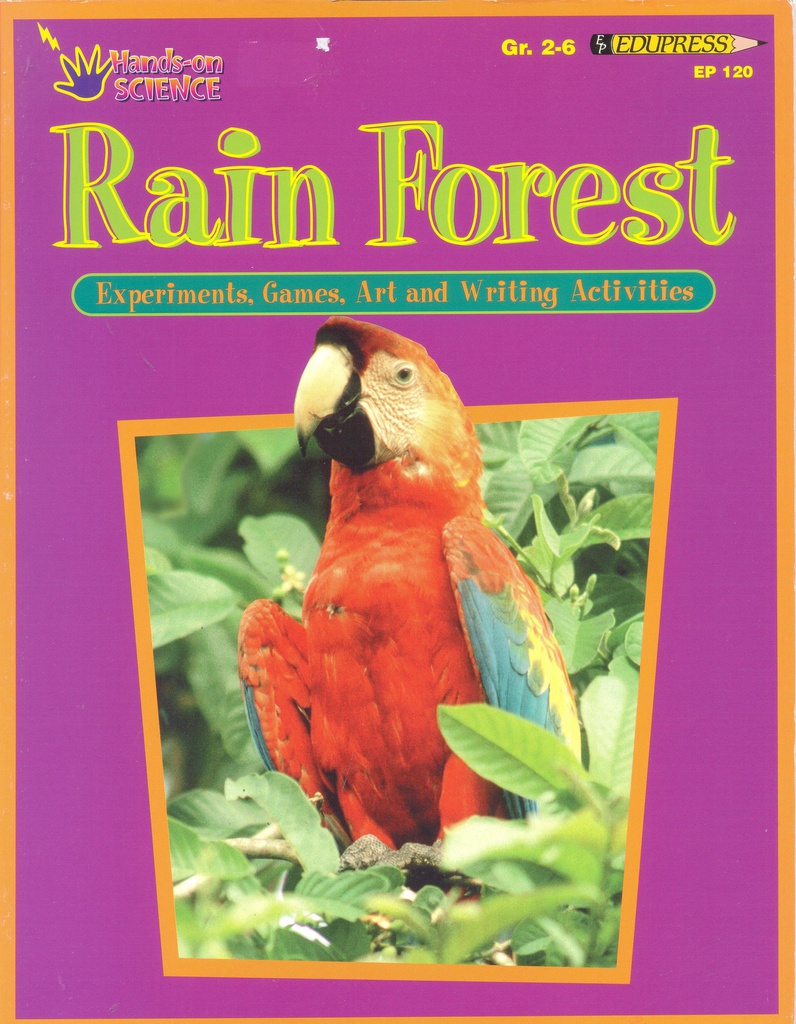 Activity Books, Rain Forest