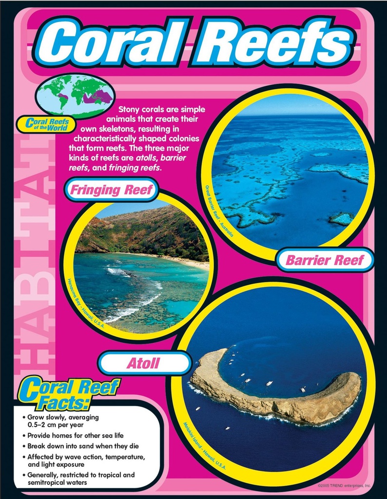 Coral Reefs Chart (55cmx 43cm)(22''x17'')