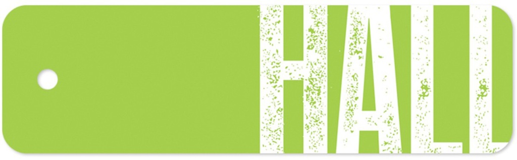 PLASTIC HALL PASS BIG TYPE (20cmx 6cm)(1 pc)