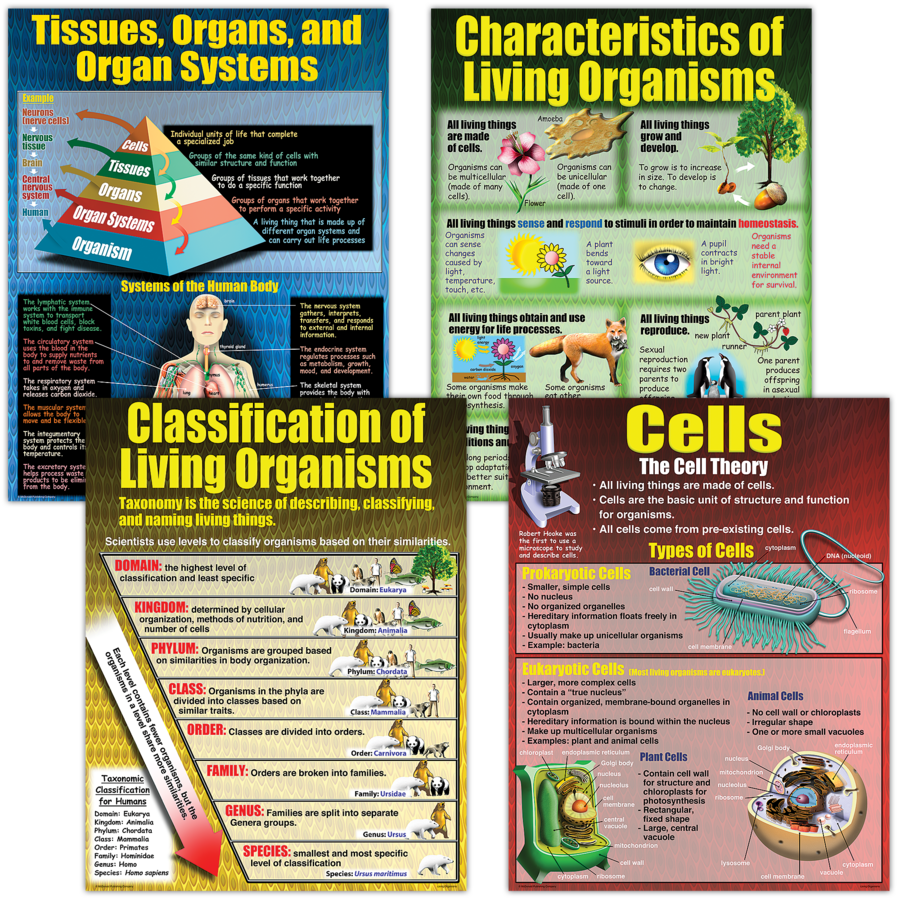 Living Organisms Poster Set (17''x22'')(43cmx55.9cm) 4 Posters