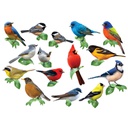 SONGBIRDS MINI SHAPED PUZZLE SET/12 PUZZLES (AGE 10+) (500 pcs)