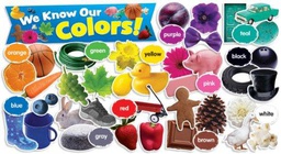 [9780545301411X] COLORS IN PHOTOS MINI BB SET (49pcs)