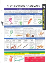 [IFX675] Classification of Animals - SINGLE (9''x12'')(22.8cmx30.4cm)