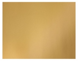 [P54981S] POSTER BOARD 12PT, 22''x 28''(55.8cmx 71.1cm)GOLD SINGLE