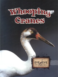 [TCR948408] Eye to Eye with Endangered Species: Whooping Cranes