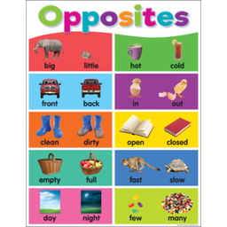 [TCR7496] Colorful Opposites Chart 17&quot; x 22&quot; (43cm x 56 cm)