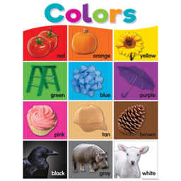 [TCR7991] Colorful Colors Chart 17&quot; x 22&quot; (43cm x 56 cm)