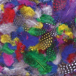 [PAC4510] FEATHERS, GUINEA ASST COLORS (640CT)