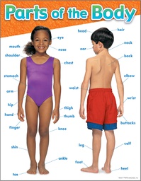 [T38048] Parts of the Body Chart 17" x 22" (43cm x 56cm)